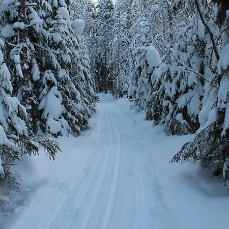 Purola Farm Bed & Breakfast Saarijarvi