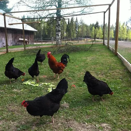 Purola Farm
